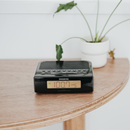 SANGEAN RCR-5 Digital AM/FM Clock Radio (Black)