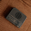 Sangean AM/FM Gray HD Alarm Clock Radio - SG-114
