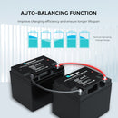Renogy RBT2425LFP - 24V 25Ah Lithium Iron Phosphate Battery