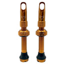 Hold Fast Cycling Tubeless Valve Stem - Presta