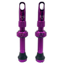 Hold Fast Cycling Tubeless Valve Stem - Presta