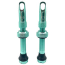 Hold Fast Cycling Tubeless Valve Stem - Presta