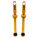 Hold Fast Cycling Tubeless Valve Stem - Presta