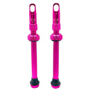 Hold Fast Cycling Tubeless Valve Stem - Presta