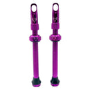 Hold Fast Cycling Tubeless Valve Stem - Presta