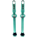 Hold Fast Cycling Tubeless Valve Stem - Presta