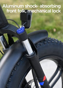 ENGWE Engine X Electric Bike