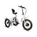 NEW-TRIKE 2.0