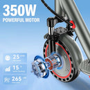 HiQiS D8 Pro Electric Scooter