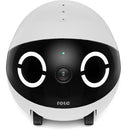 ROLA Mini Companion Robot