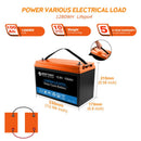 Acopower 100W mono
200Ah/1.5kW
(2x100Ah) Li200Ah M800w