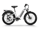 Himiway D5 (Zebra) / Bicicleta eléctrica todoterreno con neumáticos gruesos