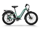 Himiway D5 (Zebra) / Bicicleta eléctrica todoterreno con neumáticos gruesos