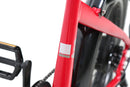 Bicicleta eléctrica ACE Utility Cruiser