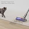 Dyson V12 Detect Slim (Nuevo)
