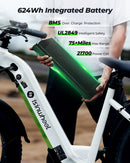 isinwheel U8 Plus Electric Bike for Adults