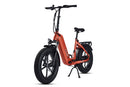 Bicicleta eléctrica plegable YOUNG Electric E-Flow de 750 W