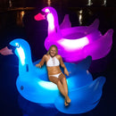 Swimline Giant LED Light Up Swan Float