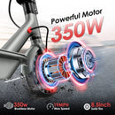 HiQiS D8 Pro Electric Scooter