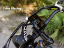 JASION Thunder Ebike