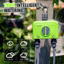 Rainpoint 2-ZONE WIFI HOSE TIMER WITH GATEWAY