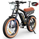 Isinwheel R6 Retro Electric Bike for Adults