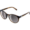 POC Know Sunglasses