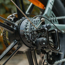 CycHunter Moped Electric Bike