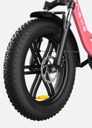 Bicicleta eléctrica ENGWE L20