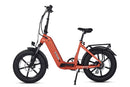 Bicicleta eléctrica plegable YOUNG Electric E-Flow de 750 W
