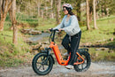 Bicicleta eléctrica plegable YOUNG Electric E-Flow de 750 W