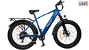 Bicicleta eléctrica con neumáticos gruesos