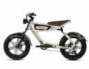 C3STROM Astro Deluxe: Class 3 Electric Bike  / Wellbots
