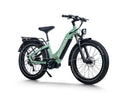 Himiway D5 Pro / Bicicleta eléctrica todoterreno con neumáticos anchos