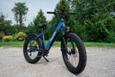 Bicicleta eléctrica con neumáticos gruesos