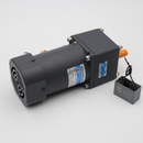 Motor de tracción y transmisión (110 V-CA)
