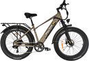 Bicicleta eléctrica con neumáticos gruesos