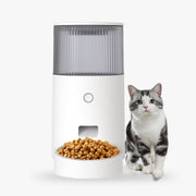 MINIFeeder WithCat Main1 1100x fa16b7a9 cfe6 4b02 b4fc 33b902505f10