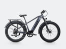 Bicicleta eléctrica de ruedas anchas Velowave Ranger