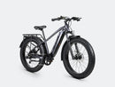 Bicicleta eléctrica de ruedas anchas Velowave Ranger
