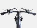 Bicicleta eléctrica de ruedas anchas Velowave Ranger