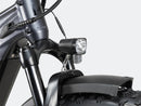 Bicicleta eléctrica de ruedas anchas Velowave Ranger