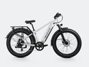 Bicicleta eléctrica de ruedas anchas Velowave Ranger