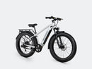 Bicicleta eléctrica de ruedas anchas Velowave Ranger