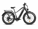 Rattan Pathfinder 750W Fat Tire Ebike / Wellbots