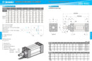 SHAKO Pneumatic Cylinder - ISO6431