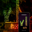 Twinkly Strings 100 LED RGB, LED Light String for in- and Outdoor, Smart LED Lights, Mappable LEDs, Compatible with Alexa and Google Home, IP44, Controlled by App, Green Wire, 8m