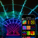 Twinkly Strings 250 LED RGB, Including White, LED Light String for in-and Outdoor, Christmas Lights, Smart LED Lights, Mappable LEDs, Compatible with Alexa, Google Home, IP44, Green Wire, 65ft