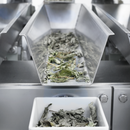 Table Top 4 Head Linear Weigher - 300 ml