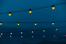 TwinklyFestoon Lights 20 RGB